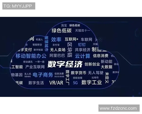 互联网时代下数字经济的崛起与转型机遇探索